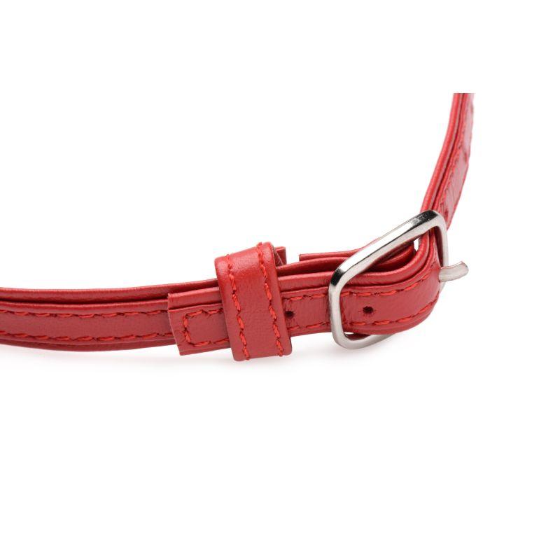 Fiery Pet Leather Choker w Silver Ring Red - Adult Toys