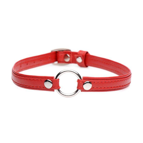 Fiery Pet Leather Choker w Silver Ring Red - Naughty by Nature Adult Store