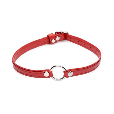 Fiery Pet Leather Choker w Silver Ring Red - Naughty by Nature Adult Store