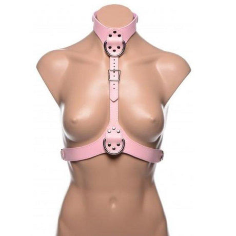 Miss Behaved Pink Chest Harness - Naughty by Nature Adult Store