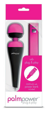 PalmPower Massage Wand Plug and Play USB - Naughty by Nature Adult Store