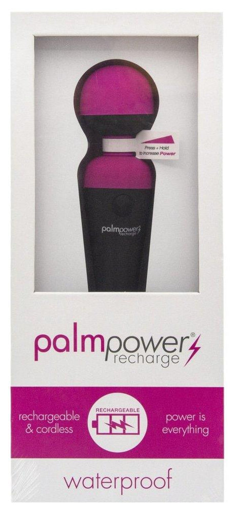 PalmPower Massage Wand Recharge Waterproof - Naughty by Nature Adult Store