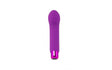Power Bullet Sara’s Spot Vibrator Purple - Adult Toys