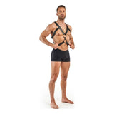 Rocco Bondage Harness Black - Adult Toys