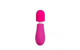 Rose Petite Massage Wand Pink - Adult Toys