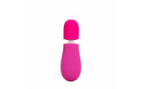 Rose Petite Massage Wand Pink - Naughty by Nature Adult Store