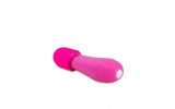 Rose Petite Massage Wand Pink - Naughty by Nature Adult Store