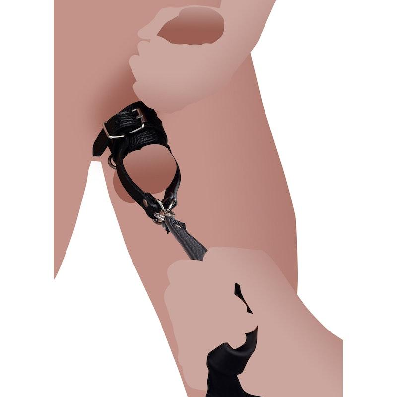 Strict Ball Stretcher With Leash - Adult Toys