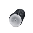 Zolo The Perfect Backdoor Masturbator - Adult Toys